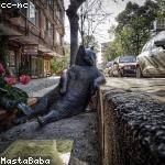 Adelbert Nicolas Profile Picture