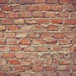 Donna Cremin Profile Picture
