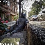 Luz Batz Profile Picture