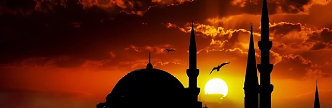 Shafik ZH Cover Image