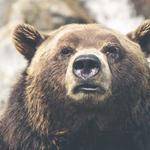 Clark Wiegand Profile Picture